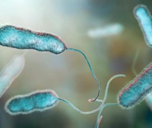 How to Prevent Legionella in evaporative systems